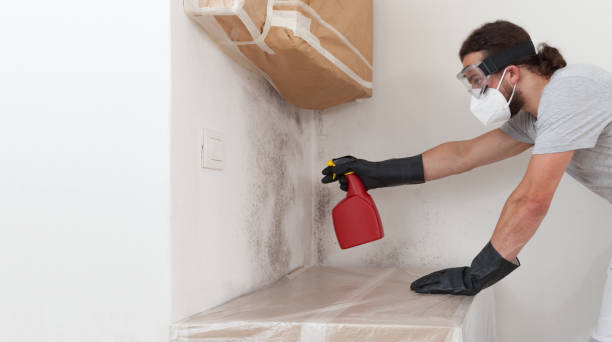 Professional Bathroom Mold Removal technician working in North Brunswick, NJ
