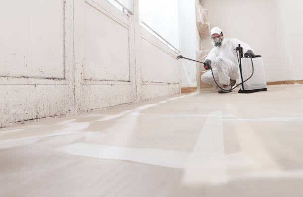24/7 Emergency Bathroom Mold Removal experts in North Brunswick, NJ